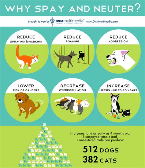 SPAY/NEUTER: Benefits .
